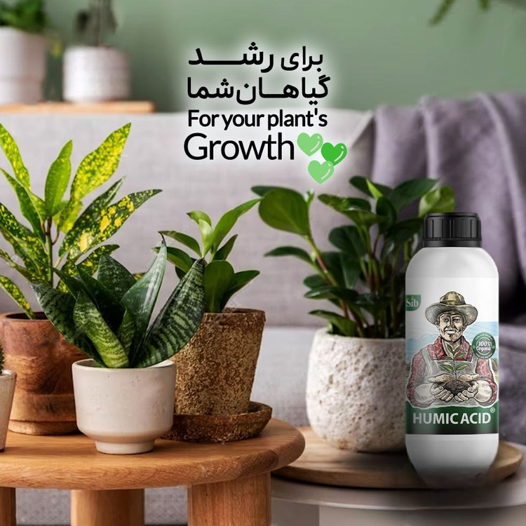 کود مایع هیومیک اسید کروا ۱ لیتر برای مزارع و درختان