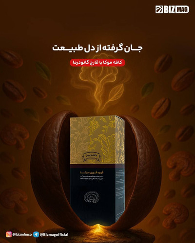 خرید قهوه فوری موکا گانودرما اصل دکتر بیز