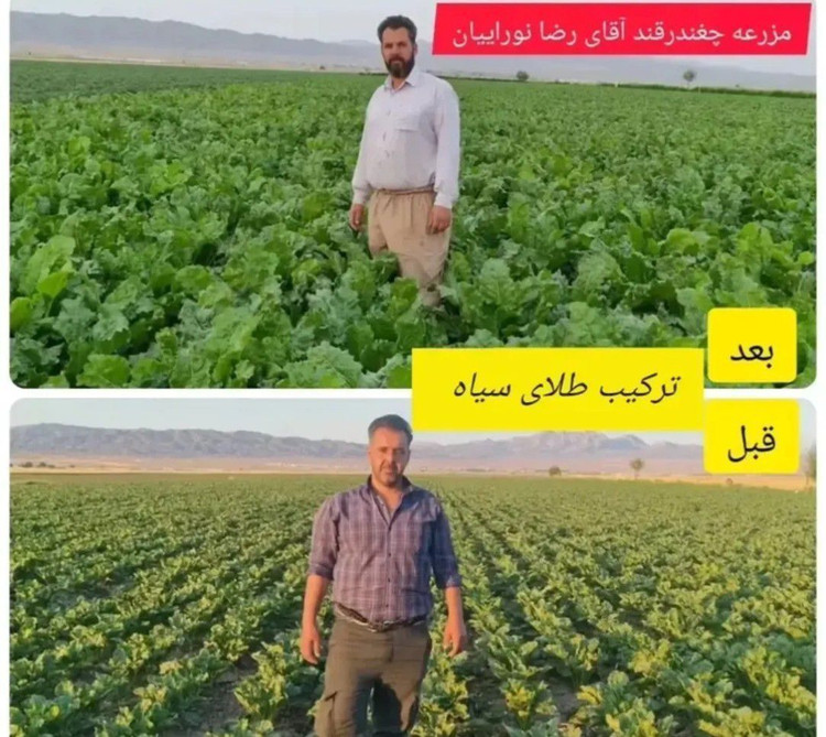 کود مایع هیومیک اسید کروا ۱ لیتر برای مزارع و درختان