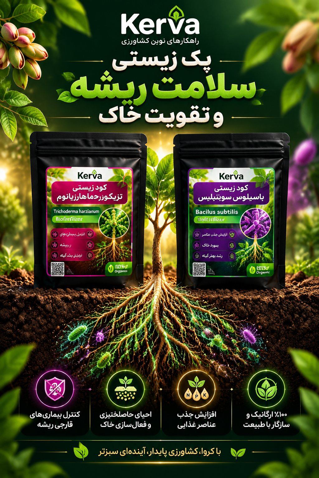 پک زیستی سلامت ریشه و ساقه کروا ۲عددی همکاری باسیلوس و تریکودرما