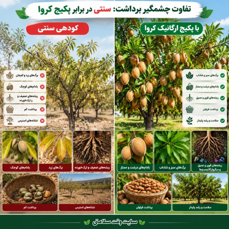 پکیج طلایی تغذیه ۱۰۰ درخت بادام کروا | افزایش تناژ ، سایز مغز و جلوگیری از پوکی