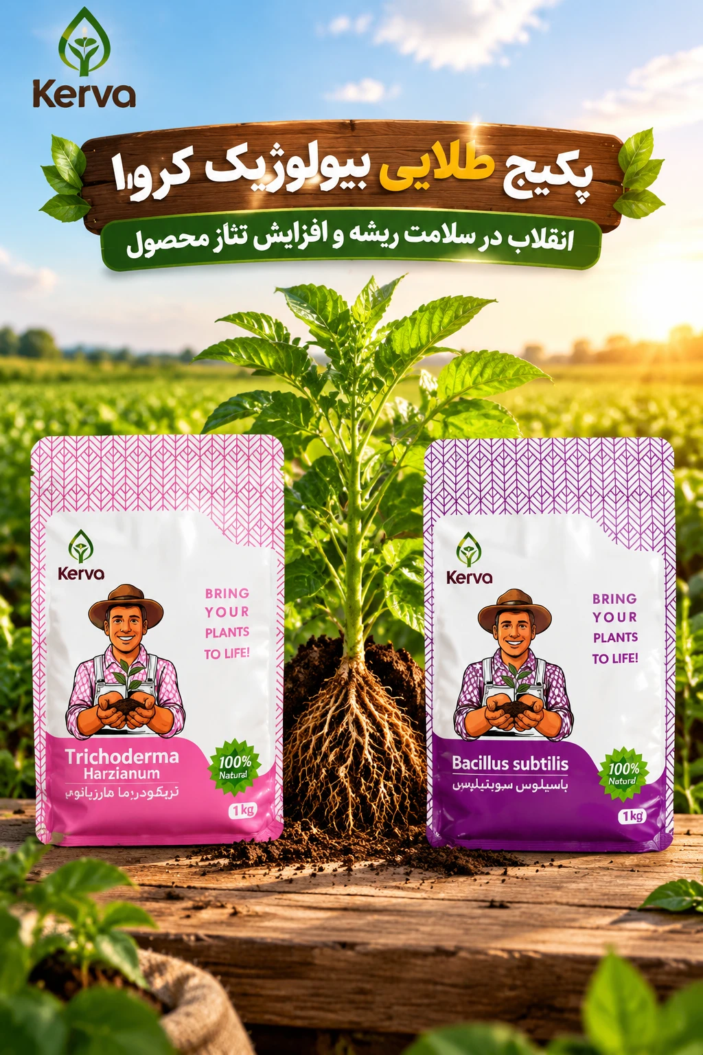 پک زیستی سلامت ریشه و ساقه کروا ۲عددی همکاری باسیلوس و تریکودرما